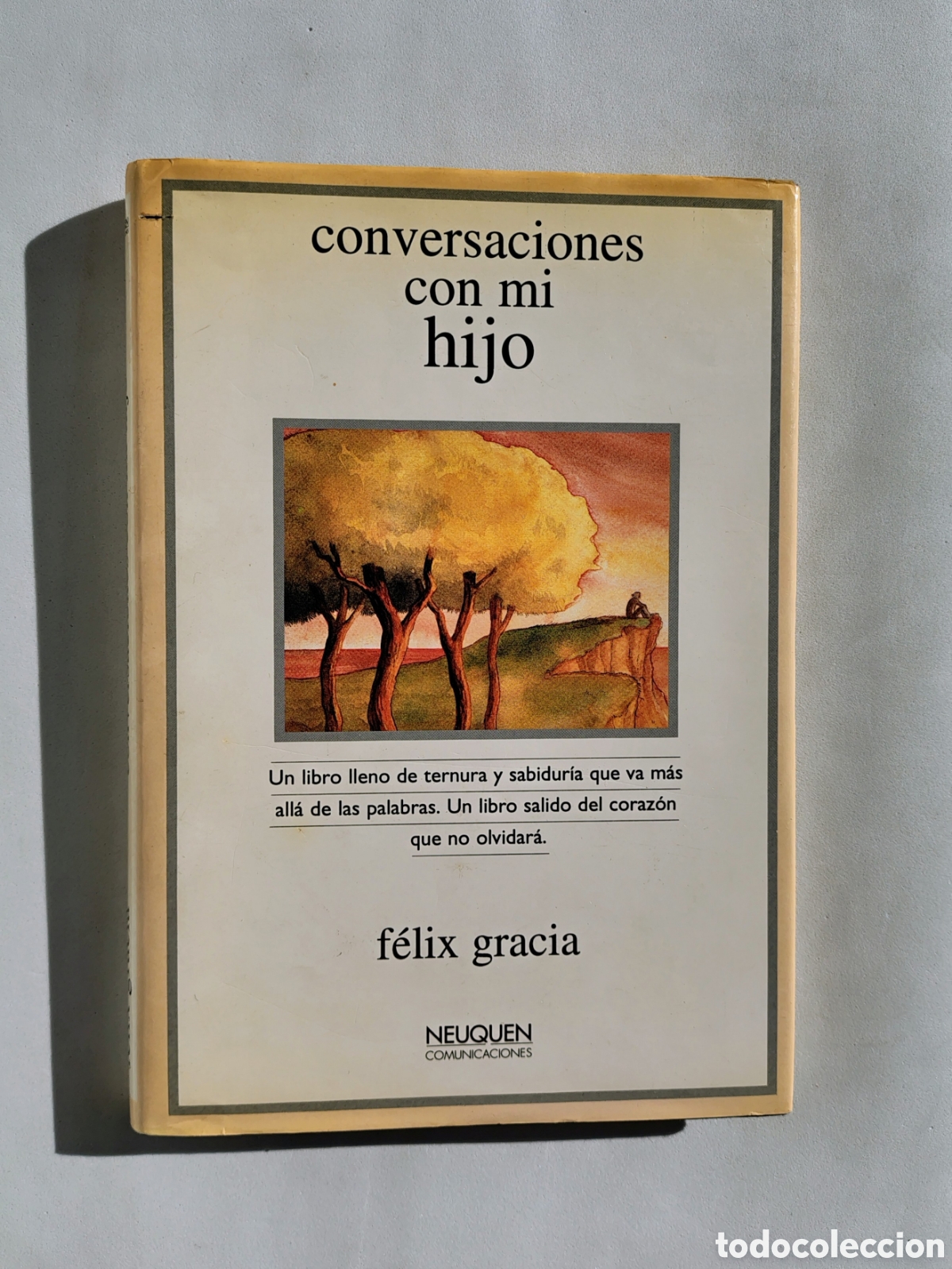 Libros de segunda mano: F&eacute;lix Garc&iacute;a &ndash; Conversaciones con mi hijo | 1995