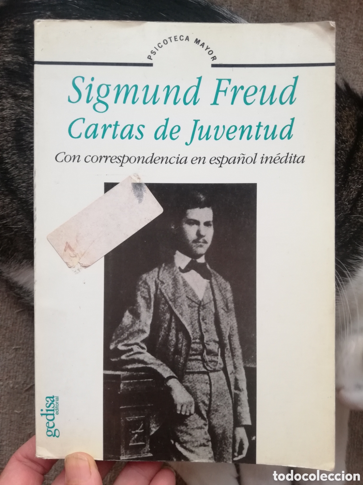 Second hand books: Cartas de juventud de Sigmund Freud. Con correspondencia en espa&ntilde;ol in&eacute;dita