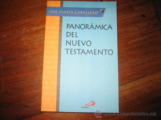 Libros de segunda mano: PANORAMICA DEL NUEVO TESTAMENTO