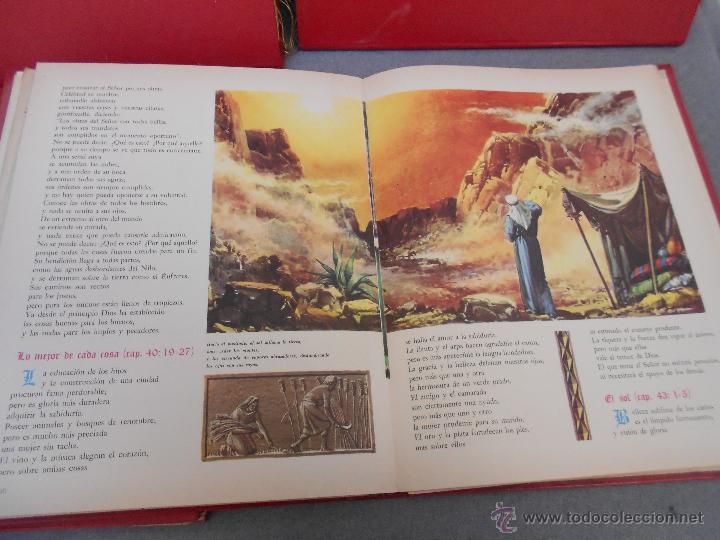 Libros de segunda mano: BIBLIA EDITORIAL CODEX - Foto 19