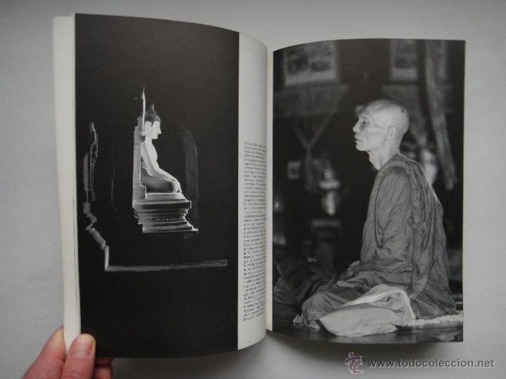 Libros de segunda mano: BUDA; ALISTAIR SHEARER. COMO NUEVO!!! - Foto 3