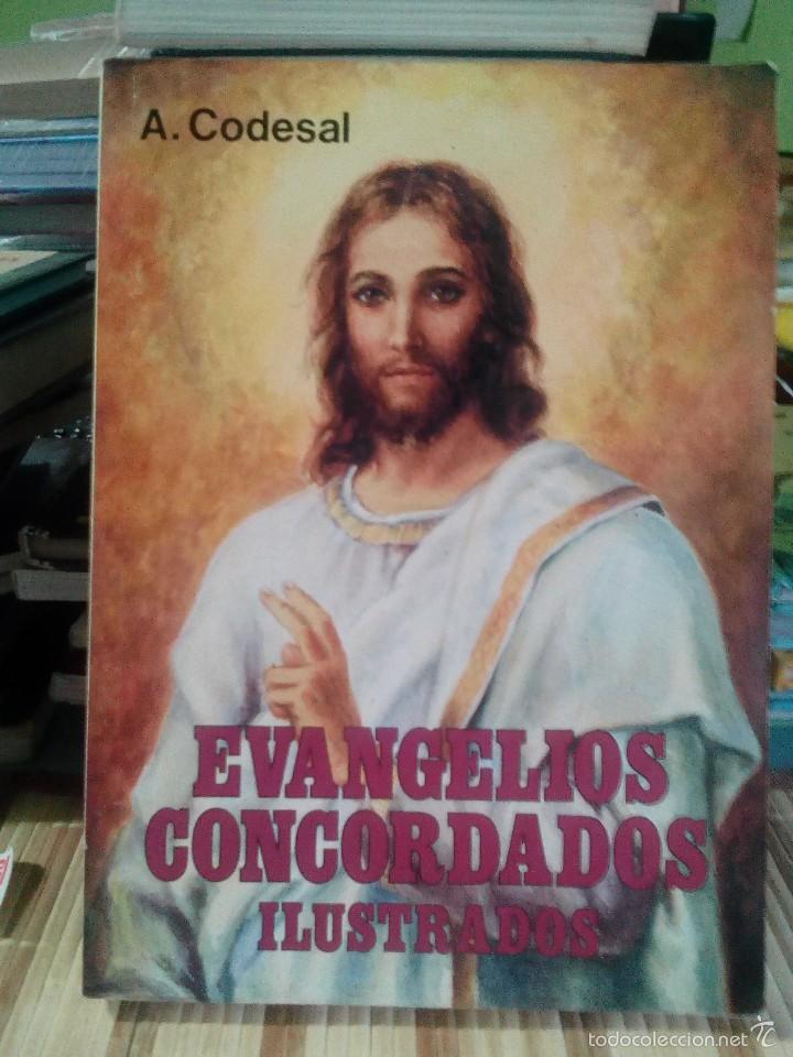 Libros de segunda mano: Evangelios concordados ilustrados - A. Codesal - Foto 1