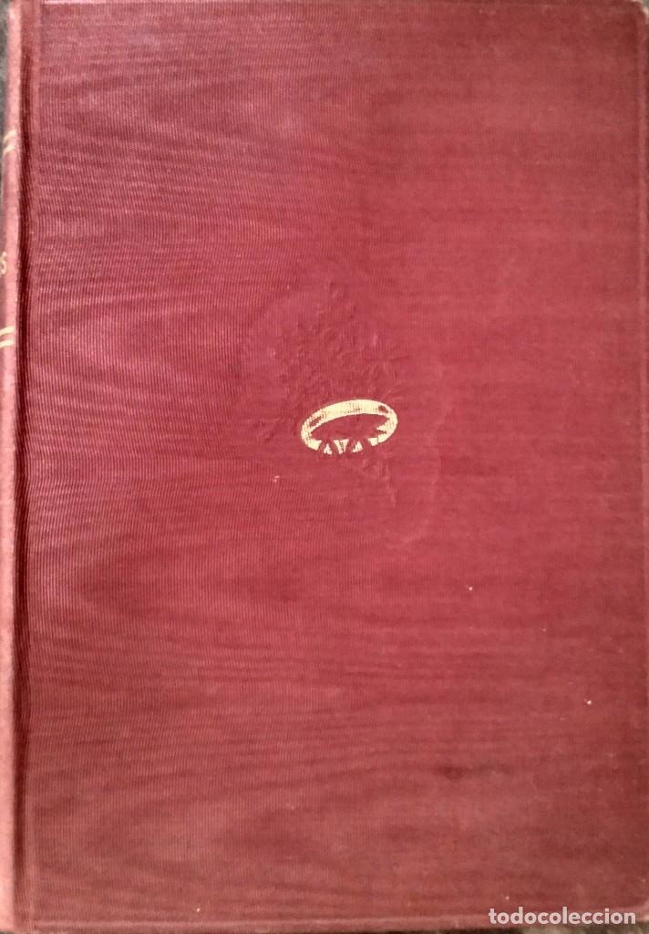 Libros de segunda mano: Pio XII a los esposos - Foto 1
