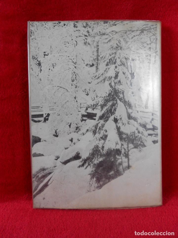 Libros de segunda mano: La muchacha y la pureza, (E. Enciso), Studium Ed. 1967 - Foto 4