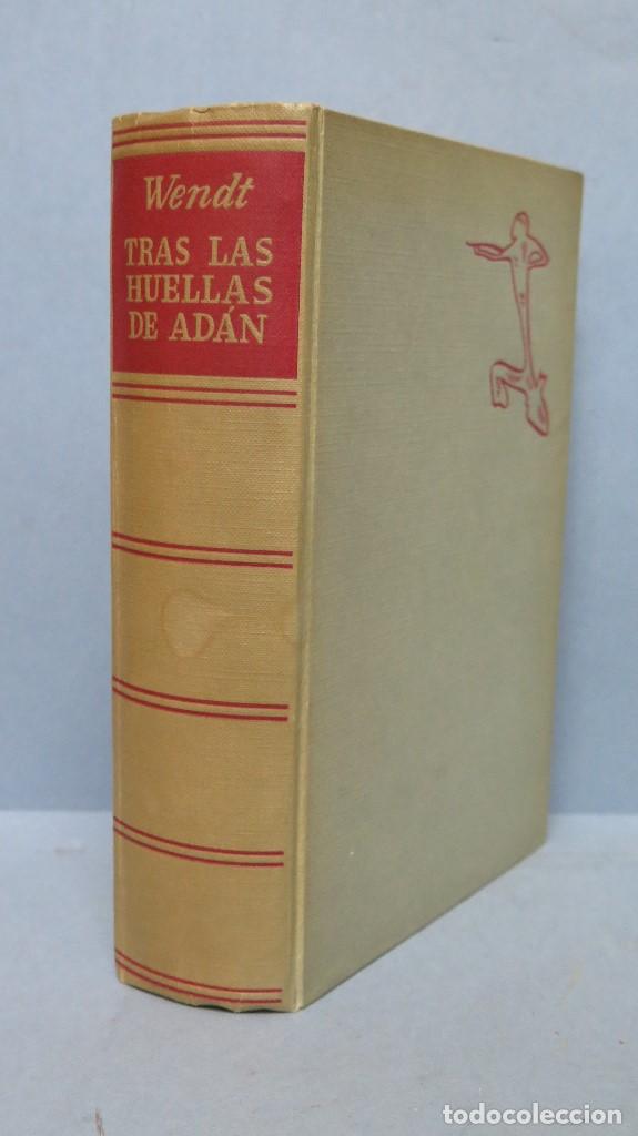 Libros de segunda mano: TRAS LAS HUELLAS DE ADAN. WENDT - Foto 1