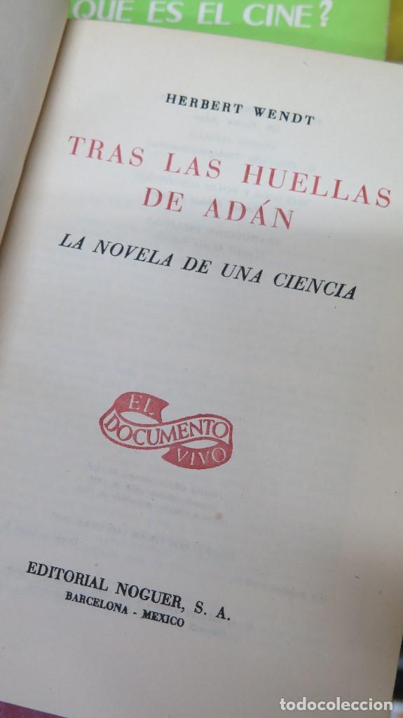 Libros de segunda mano: TRAS LAS HUELLAS DE ADAN. WENDT - Foto 2