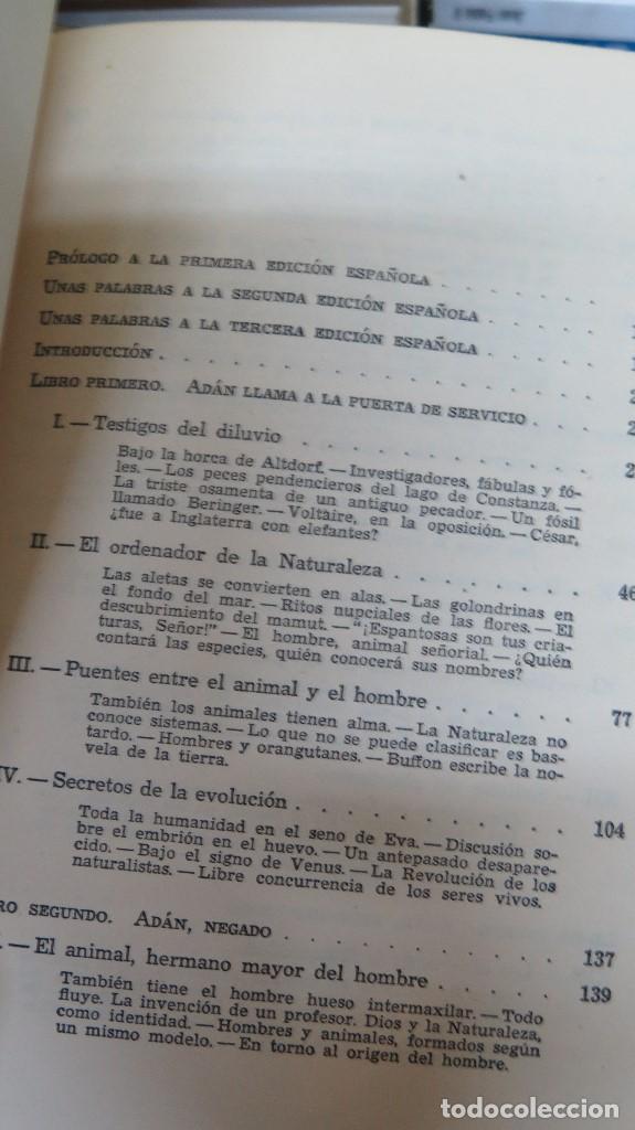Libros de segunda mano: TRAS LAS HUELLAS DE ADAN. WENDT - Foto 3