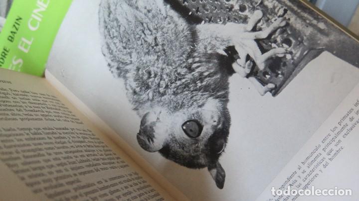 Libros de segunda mano: TRAS LAS HUELLAS DE ADAN. WENDT - Foto 7