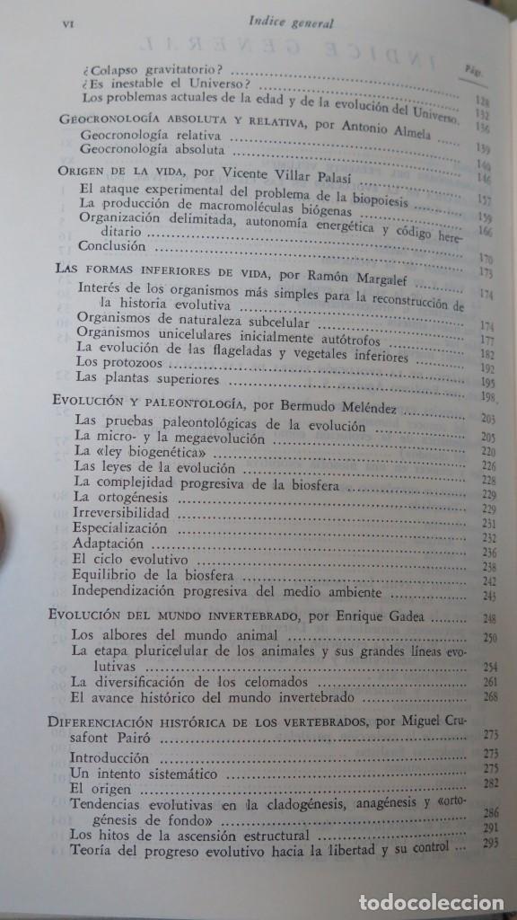 Libros de segunda mano: 1966.- LA EVOLUCION. VV.AA. B.A.C - Foto 4