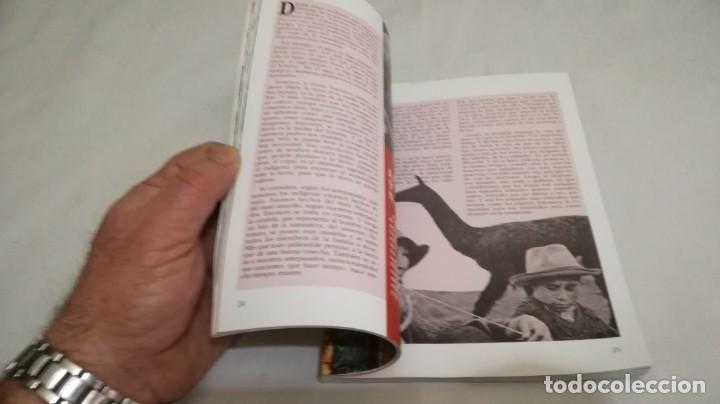 Libros de segunda mano: COMPA&Ntilde;&Iacute;A DE MARIA 1993 - 1994 - Foto 14