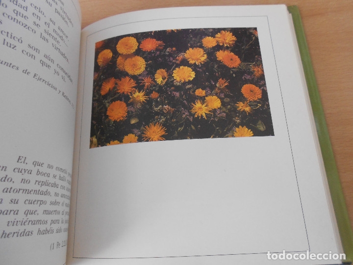 Libros de segunda mano: ESTOY CONTIGO - Foto 9
