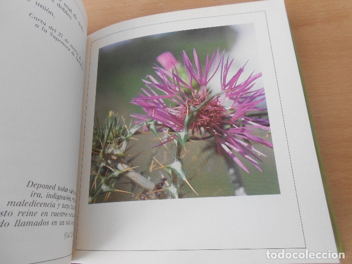 Libros de segunda mano: ESTOY CONTIGO - Foto 11