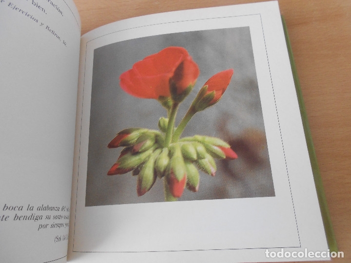 Libros de segunda mano: ESTOY CONTIGO - Foto 12