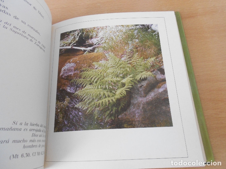 Libros de segunda mano: ESTOY CONTIGO - Foto 13