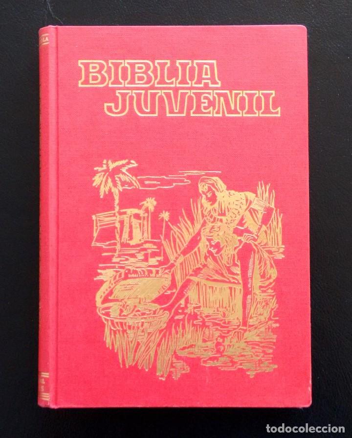 Libros de segunda mano: BIBLIA JUVENIL. POR MARY THEOLA. EDITORIAL ORTELLS. VALENCIA, 1980.