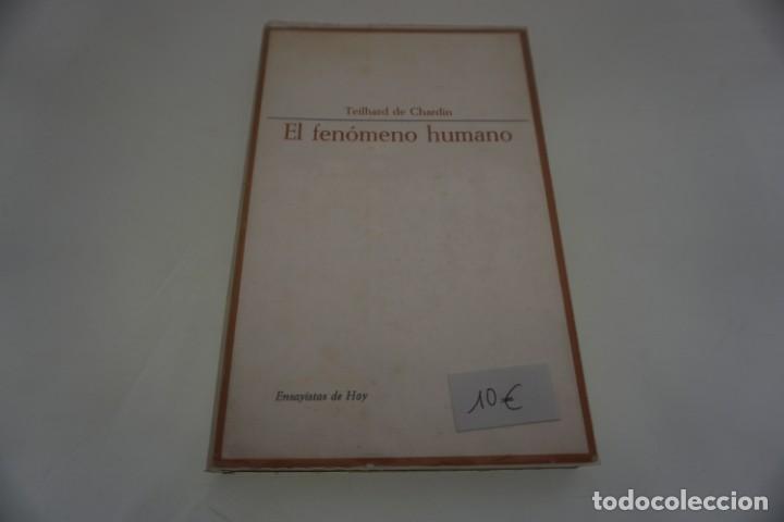 Libros de segunda mano: 2C - EL FENOMENO HUMANO / TEILHARD DE CHARDIN / TAURUS - Foto 1