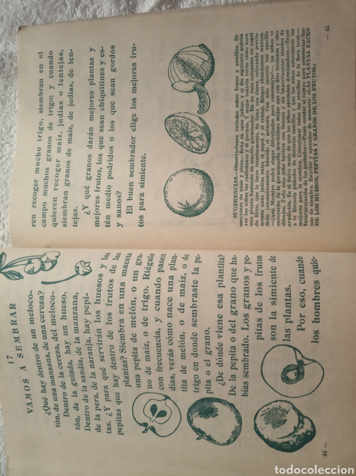 Libros de segunda mano: Un regalo de Dios - Foto 9