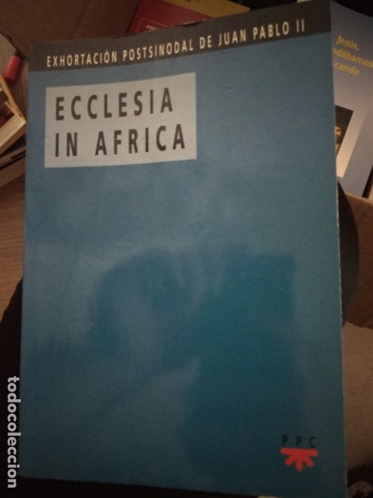 Ecclesia in africa