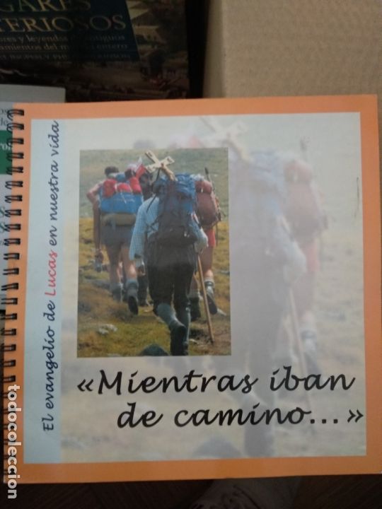 Libros de segunda mano: EL EVANGELIO DE LUCAS EN NUESTRA VIDA. Mientras iban de camino. - Archidi&oacute;cesis de Madrid