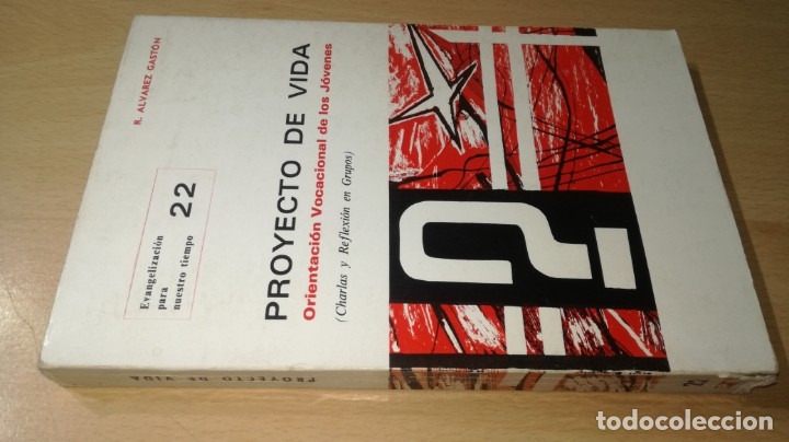 Libri di seconda mano: PROYECTO DE VIDA - ORIENTACION VOCACIONAL DE LOS JOVENES - R ALVAREZ GASTON	 / 	G401