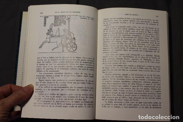 Y La Biblia Tenia Razon Epub