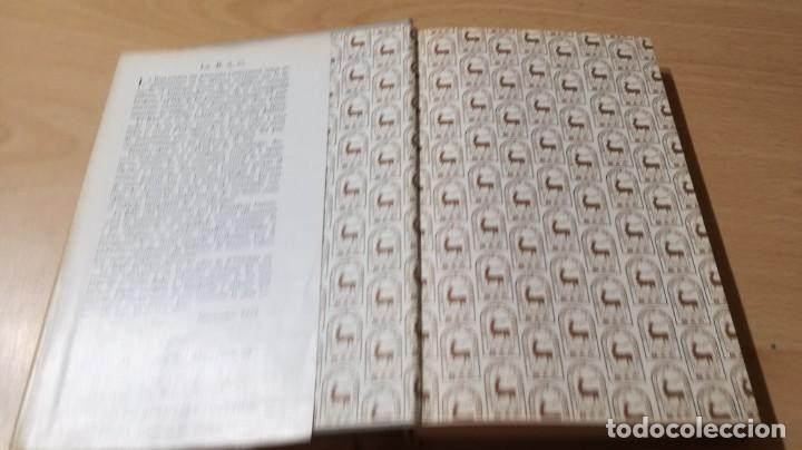 Libros de segunda mano: EL APOSTOLADO SEGLAR EN ESPA&Ntilde;A - COMISION EPISCOPAL - BAC	 /   	&Oacute;-301 - Foto 6