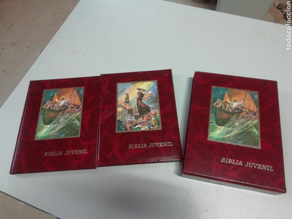 Biblia juvenil dos tomos