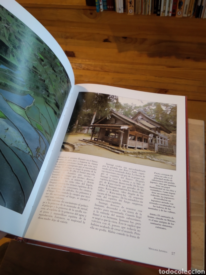 Libros de segunda mano: DIVINIDADES Y DEMONIOS ORIENTALES #A1 - Foto 8