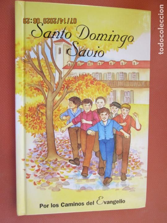 Libri di seconda mano: SANTO DOMINGO SAVIO - DANIEL FERDERSPIEL - 2004.