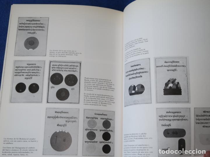 Libros de segunda mano: Mitos de la creaci&oacute;n - David MACLAGAN - Debate (1989) - Foto 4