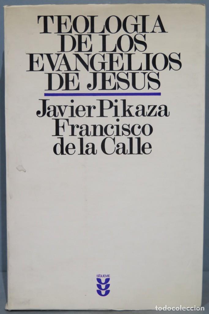 Livres d'occasion: TEOLOG&Iacute;A DE LOS EVANGELIOS DE JES&Uacute;S. PIKAZA. DE LA CALLE
