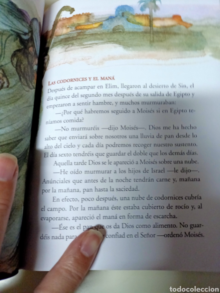 Libros de segunda mano: Biblia juvenil - Servilibro - Foto 7