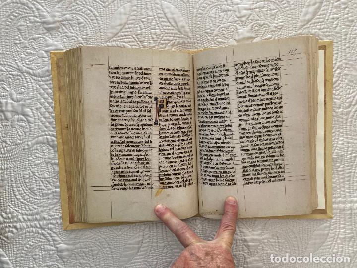 Libros de segunda mano: APOCALIPSIS 1313 - C&Oacute;DICE - Foto 12