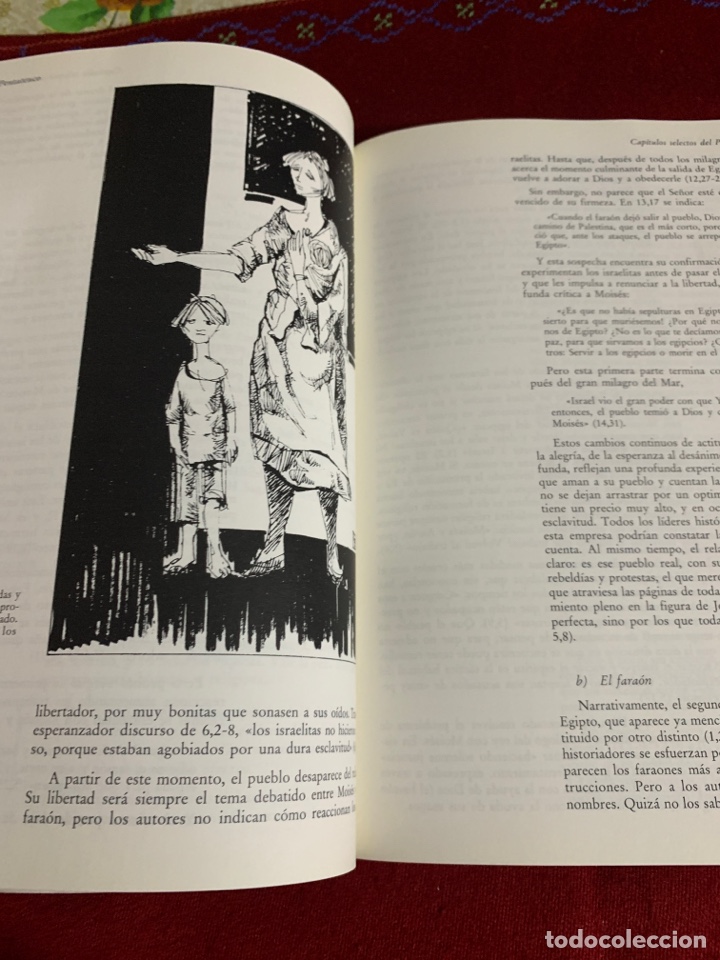 Libros de segunda mano: Introducci&oacute;n al Antiguo Testamento. Jos&eacute; Luis Sicre. - Foto 7