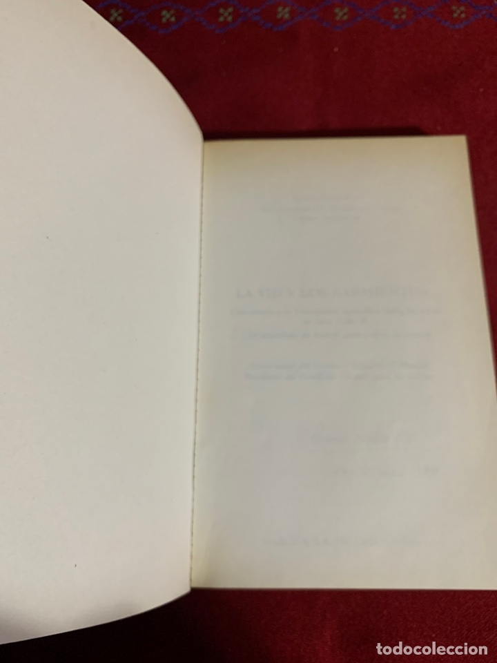 Libros de segunda mano: La vid y los sarmientos. Peter Coughlan - Foto 3