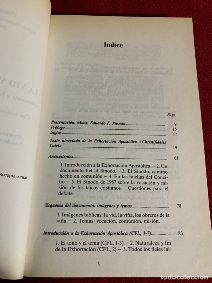 Libros de segunda mano: La vid y los sarmientos. Peter Coughlan - Foto 4