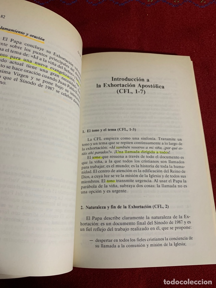 Libros de segunda mano: La vid y los sarmientos. Peter Coughlan - Foto 7