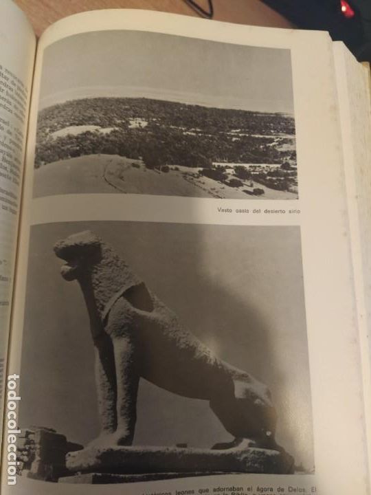 Libros de segunda mano: La Biblia. Ed. Labor 1969 - Foto 10