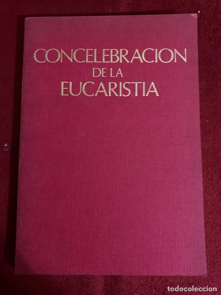 Libros de segunda mano: Concelebraci&oacute;n de la Eucarist&iacute;a. - Foto 1