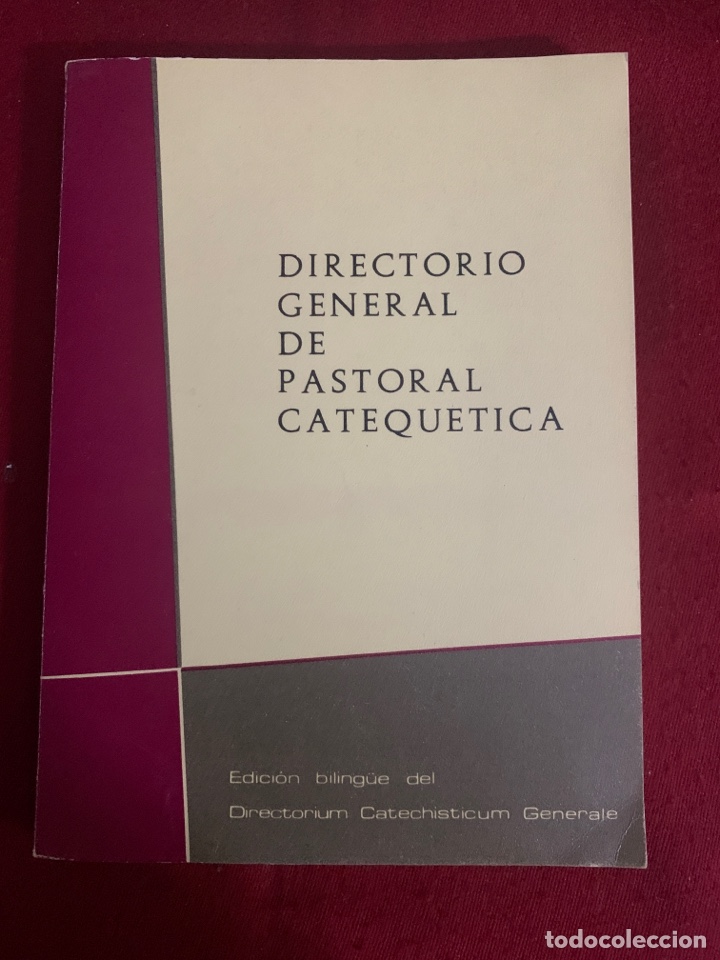 Libros de segunda mano: Directorio General de Pastoral Catequ&eacute;tica.