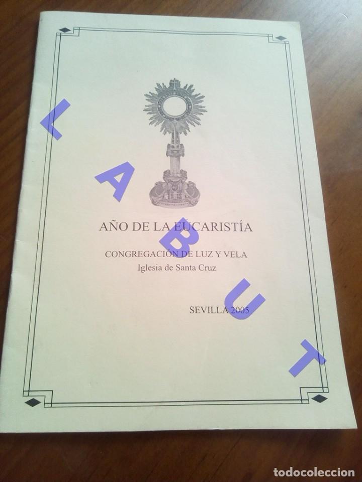 Libros de segunda mano: IGLESIA DE SANTA CRUZ CONGREGACION DE LUZ Y VELA 2005 SEMANA SANTA SEVILLA U70