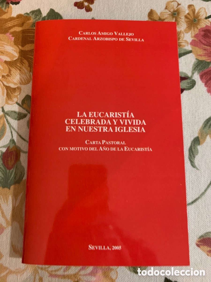 Libros de segunda mano: A&ntilde;o de la Eucarist&iacute;a (2005). - Foto 7