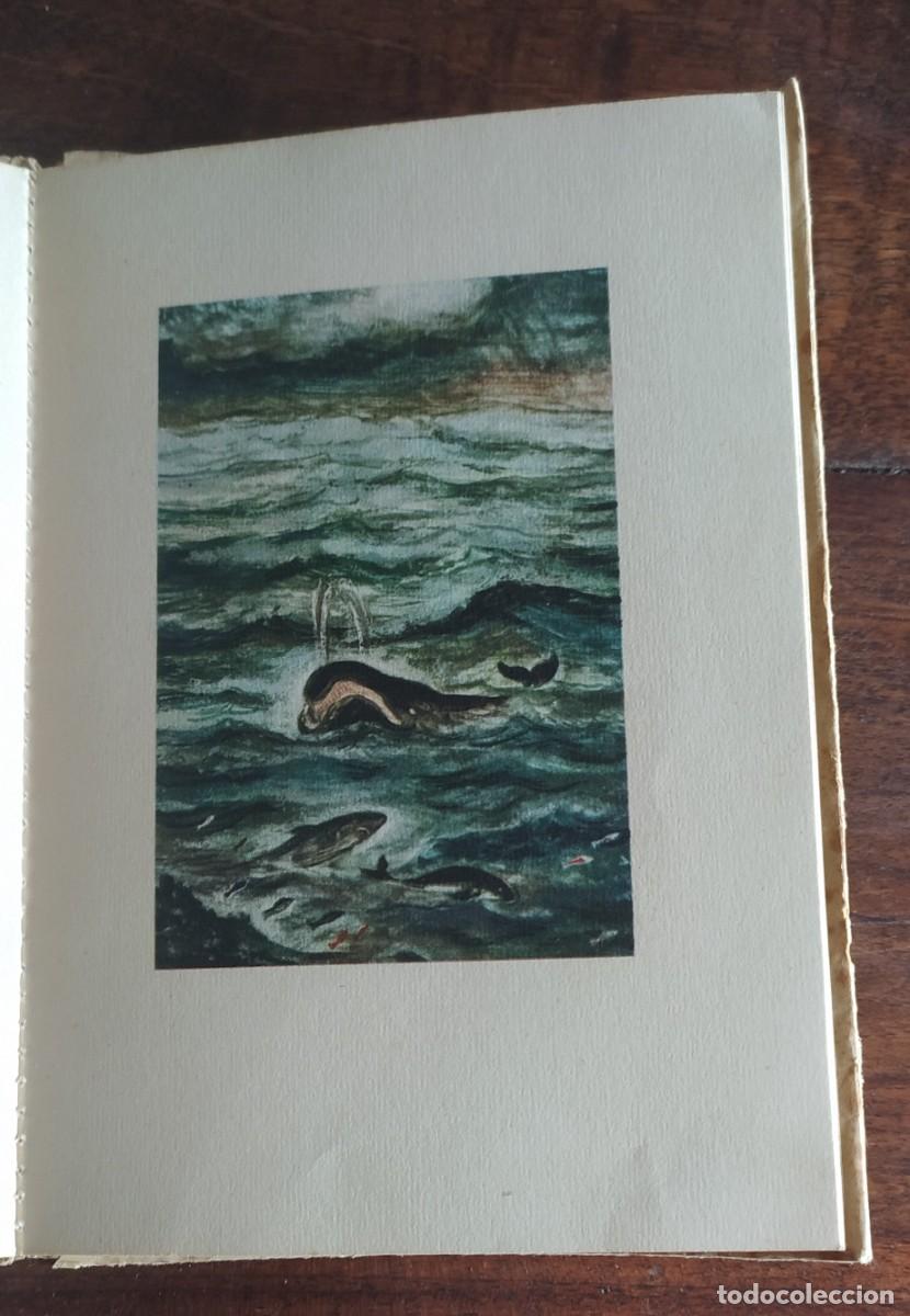 Libros de segunda mano: Fray Luis de Le&oacute;n .Salmo 103 - Foto 5