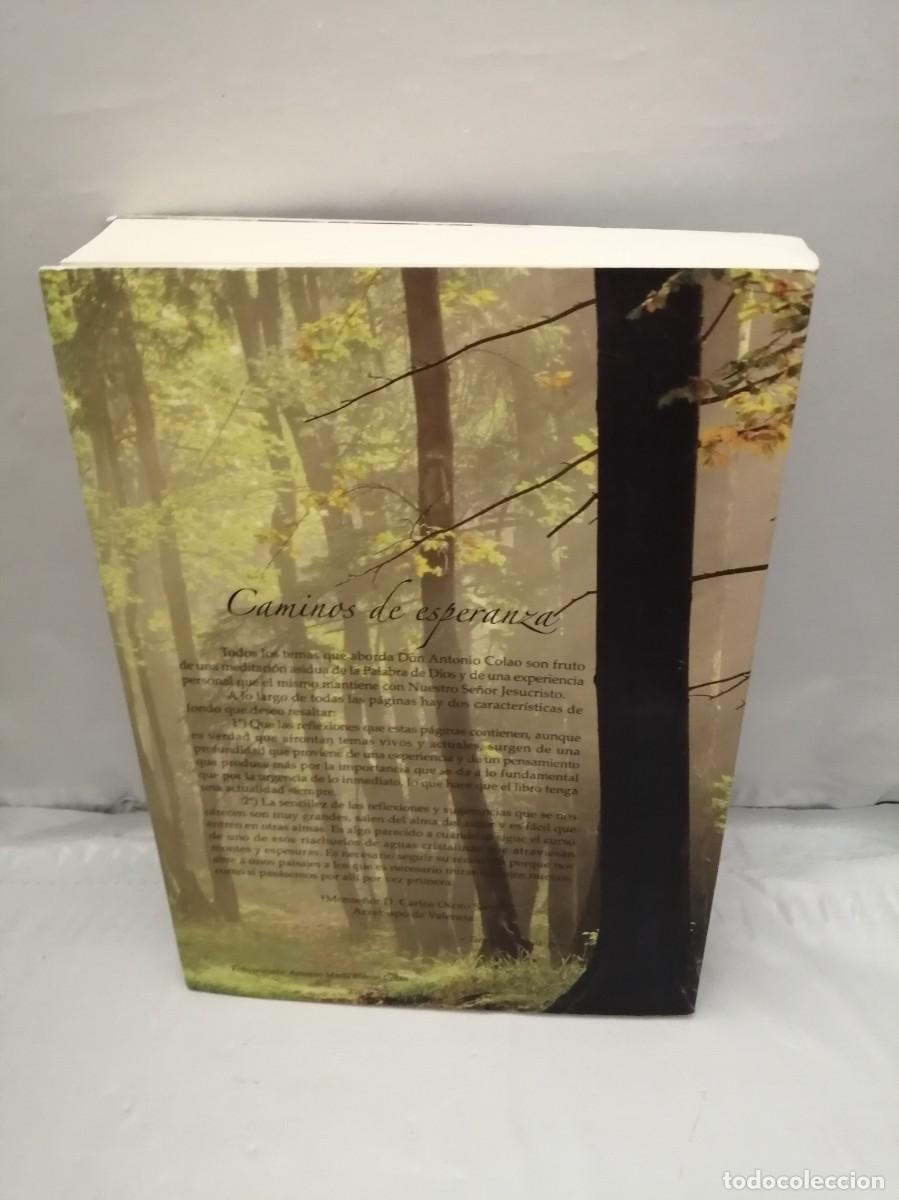 Libros de segunda mano: Caminos de esperanza (Primera edici&oacute;n) - Foto 2