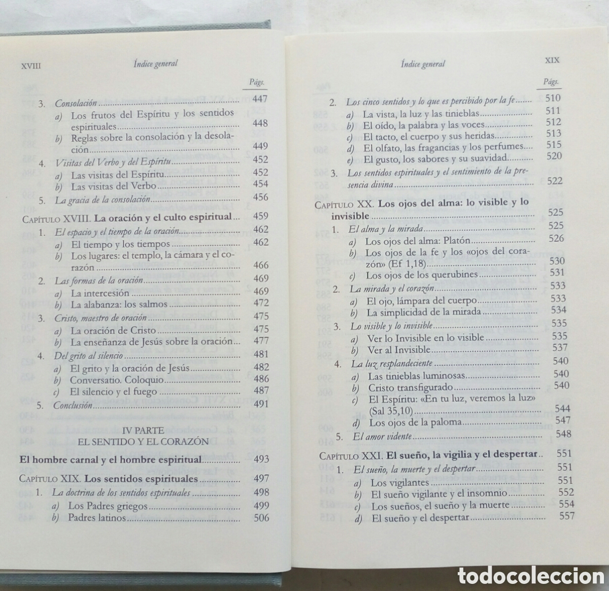 Libros de segunda mano: Homo viator. Ysabel de Andia. - Foto 10