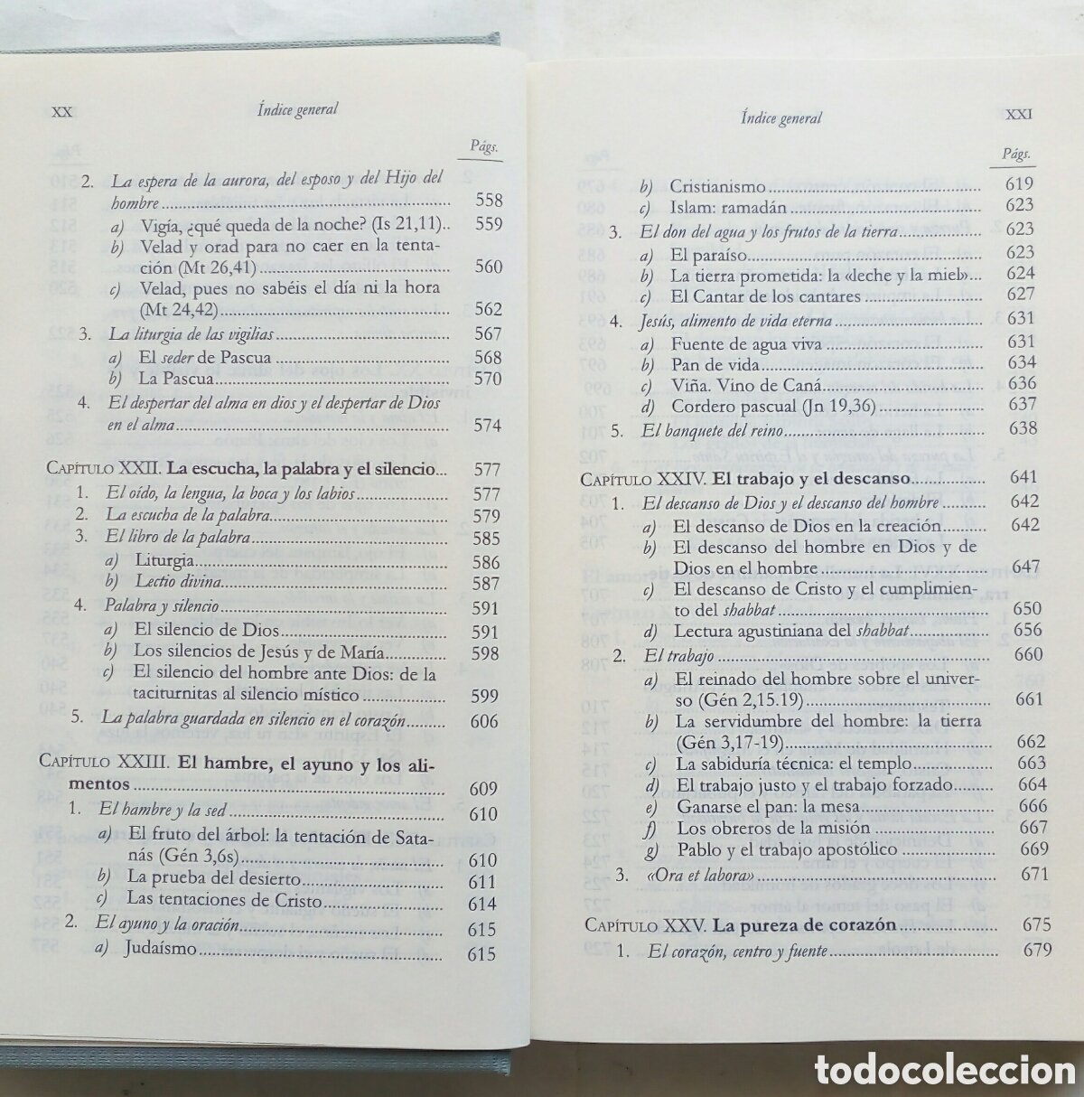 Libros de segunda mano: Homo viator. Ysabel de Andia. - Foto 11