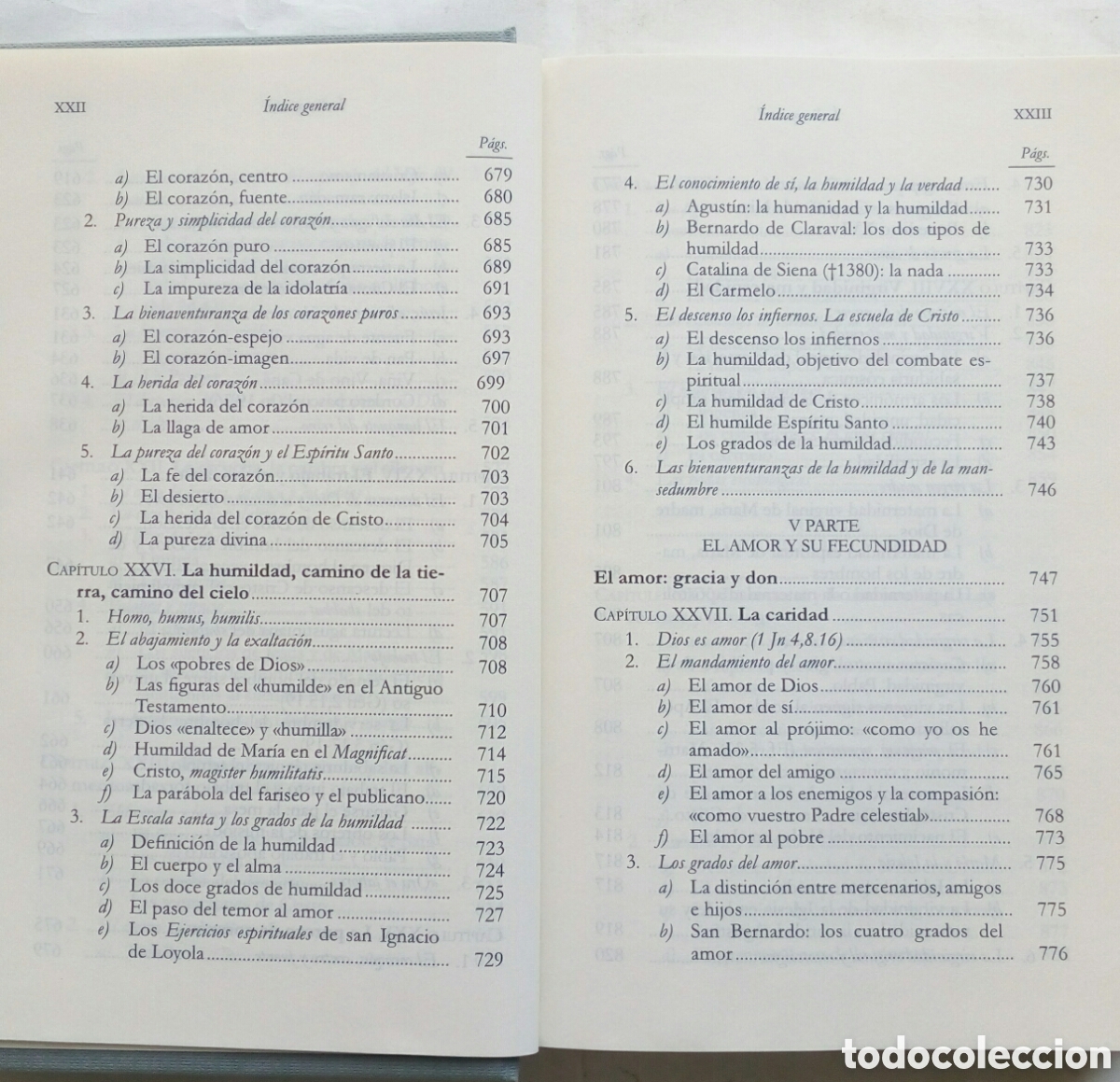 Libros de segunda mano: Homo viator. Ysabel de Andia. - Foto 12