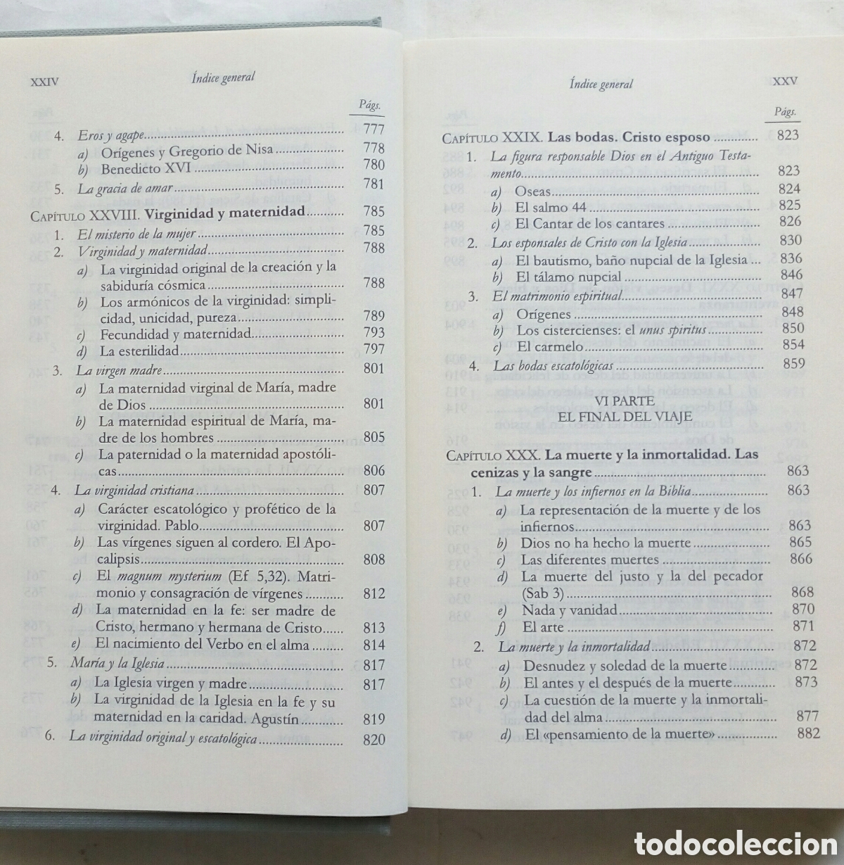 Libros de segunda mano: Homo viator. Ysabel de Andia. - Foto 13