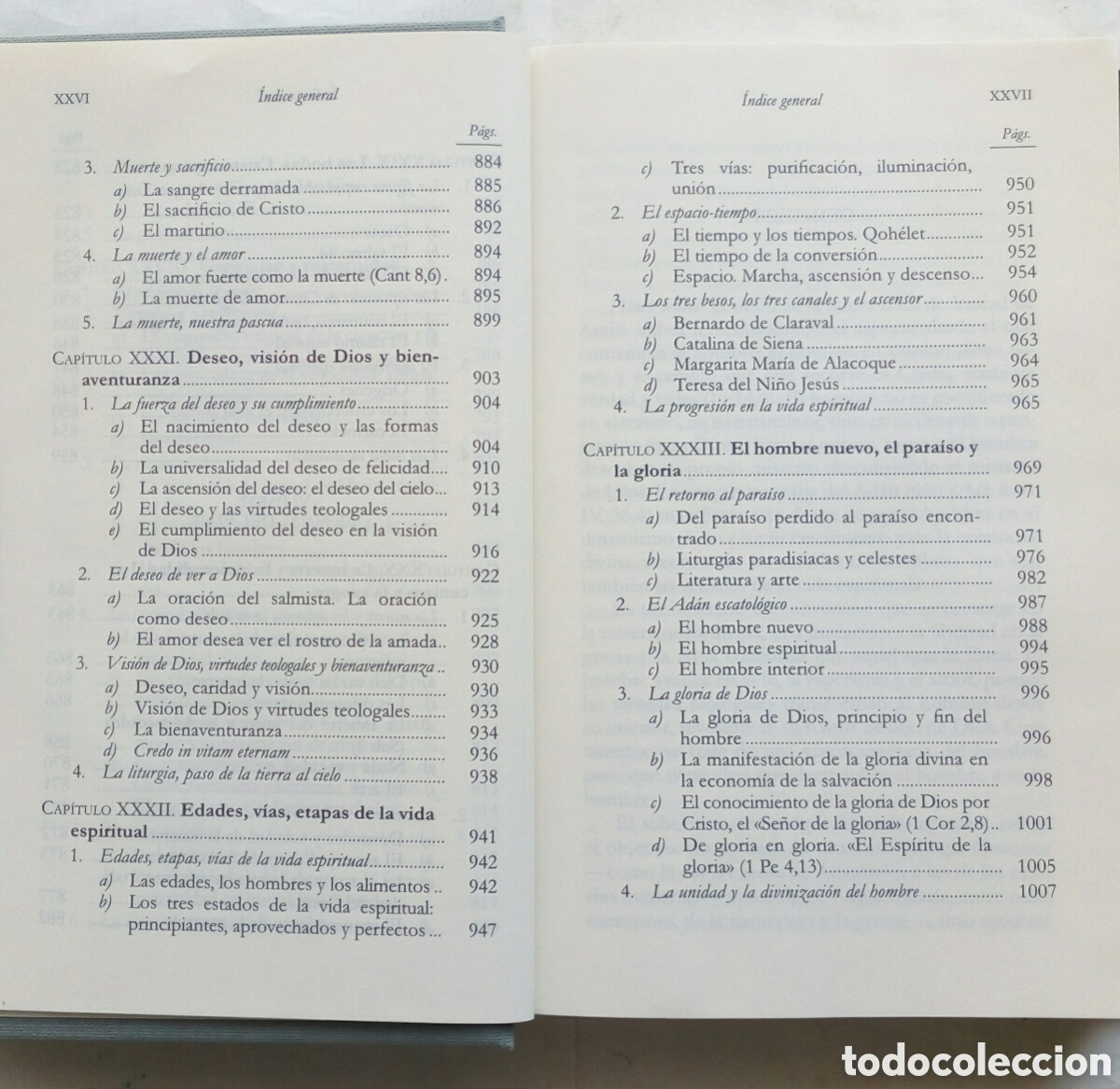 Libros de segunda mano: Homo viator. Ysabel de Andia. - Foto 14