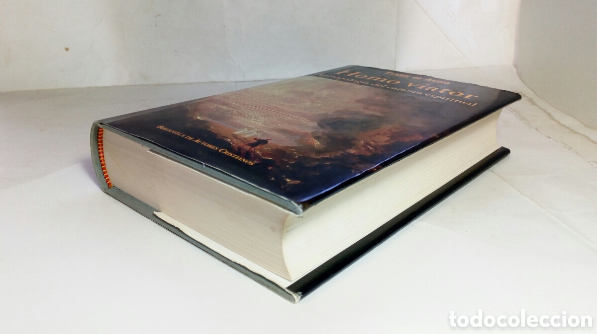 Libros de segunda mano: Homo viator. Ysabel de Andia. - Foto 15